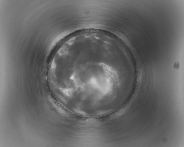 X0000113080974200909182045