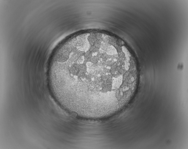 X0000113080975200909182045