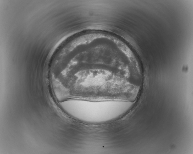 X0000113080976200909182045