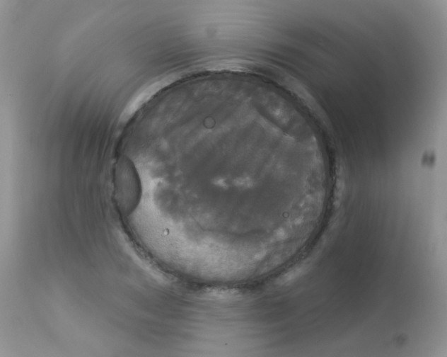 X0000113080978200909182045