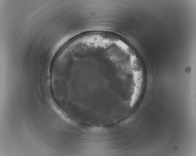 X0000113080982200909182045