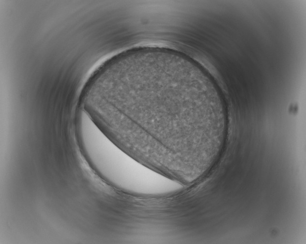 X0000113080984200909182045