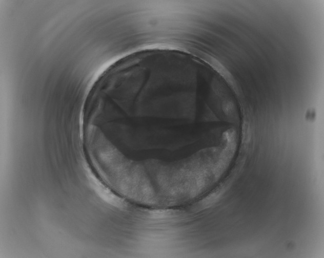 X0000113080988200909182045