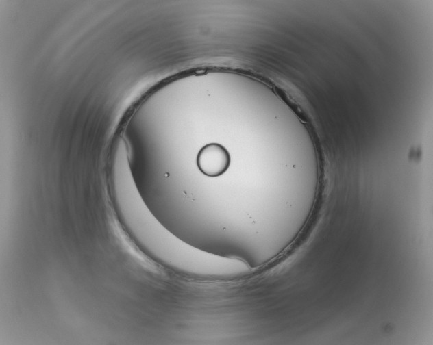 X0000113080989200909182045