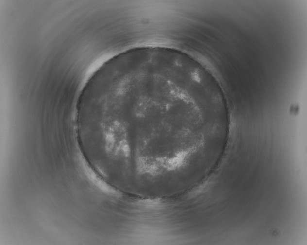 X0000113080990200909182045