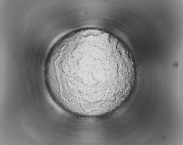 X0000113080991200909182045