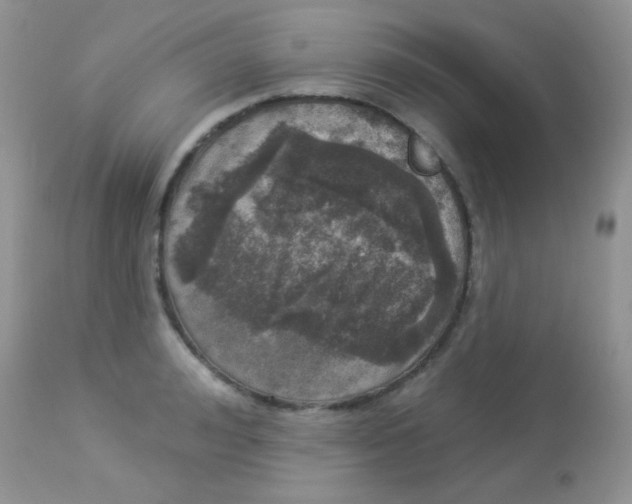 X0000113080992200909182045