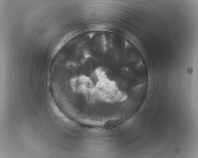 X0000113080994200909182045