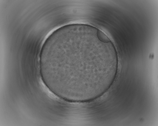 X0000113080996200909182045