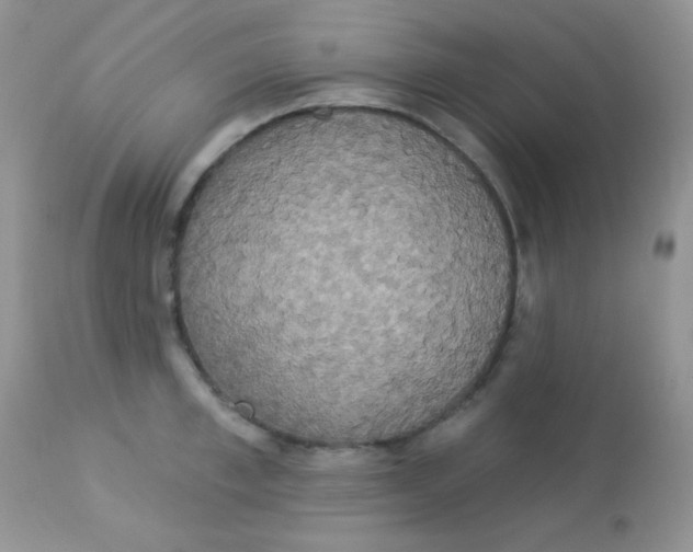 X0000113080997200909182045