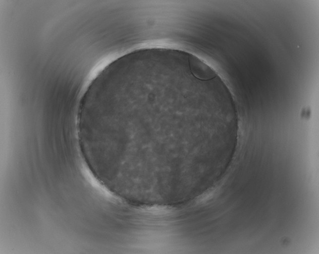 X0000113080998200909182045