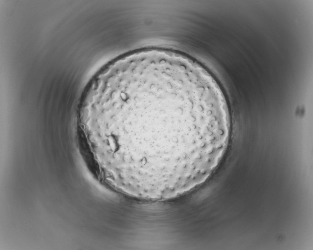 X0000113080999200909182045