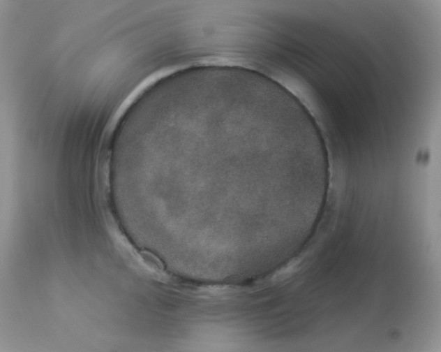 X0000113081000200909182045