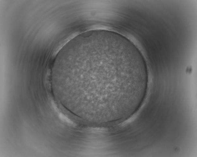 X0000113081001200909182045