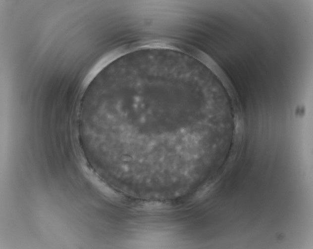 X0000113081002200909182045