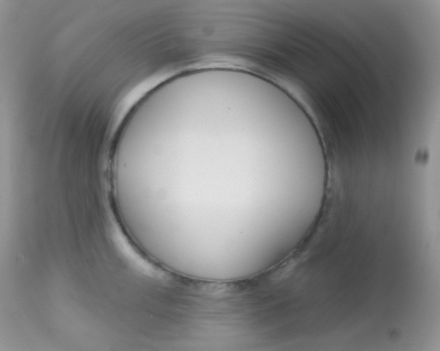 X0000113081003200909182045