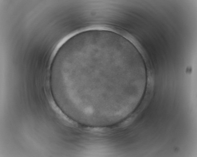 X0000113081004200909182045