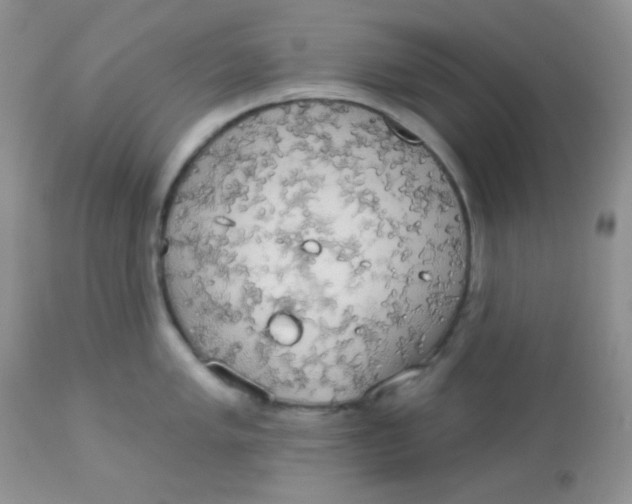 X0000113081005200909182045