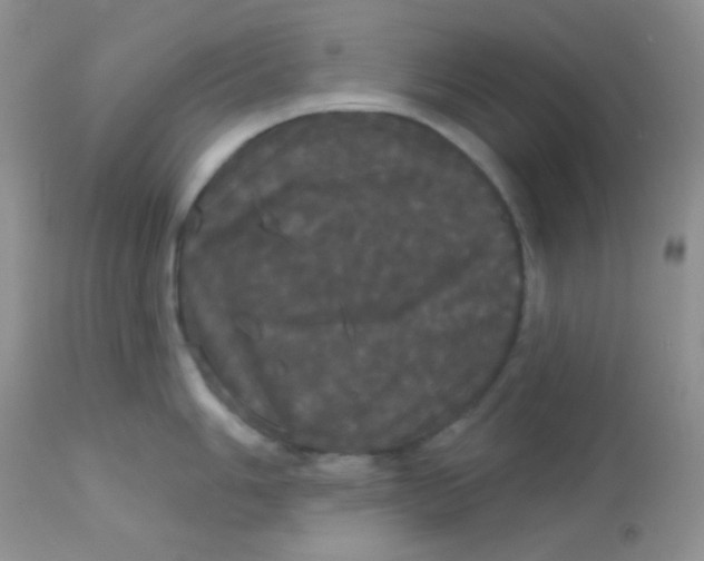 X0000113081006200909182045