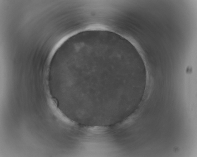 X0000113081008200909182045