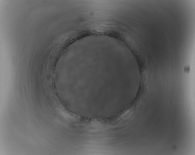 X0000113081009200909182044