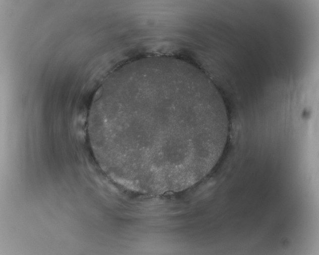 X0000113081010200909182044