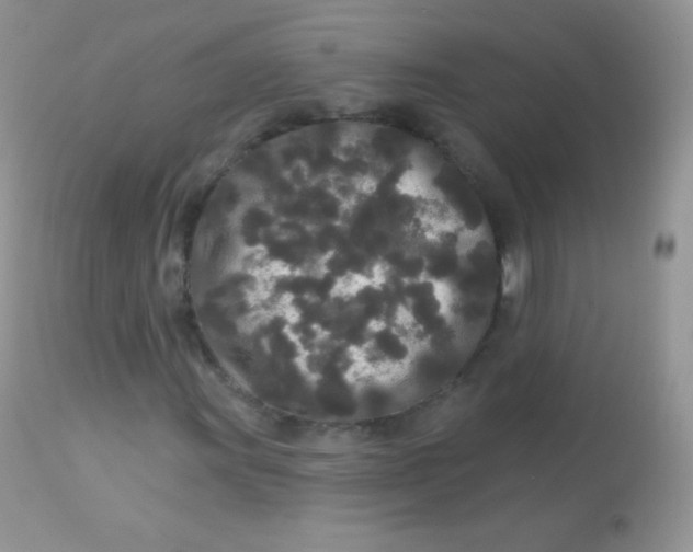 X0000113081011200909182044