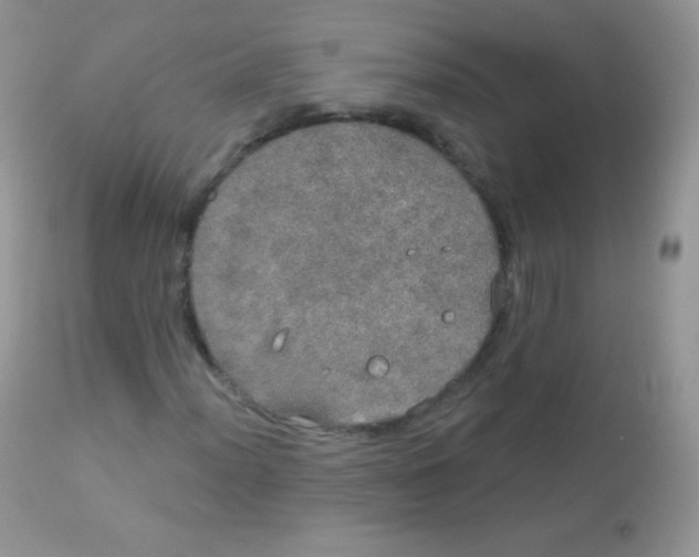 X0000113081012200909182044