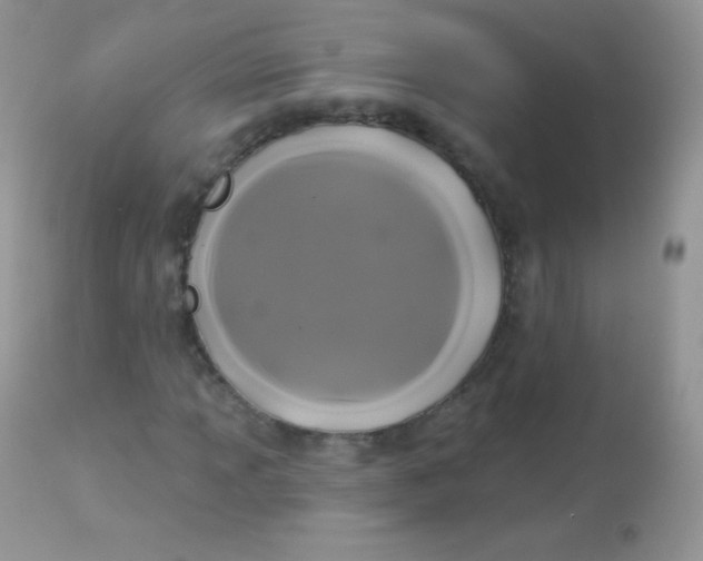 X0000113081013200909182044