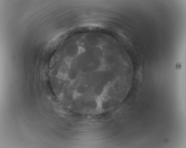 X0000113081014200909182044