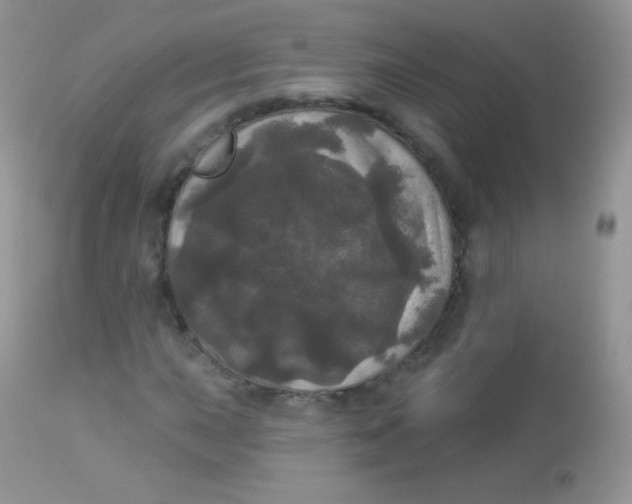 X0000113081015200909182044