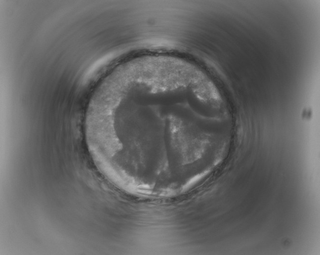 X0000113081016200909182044