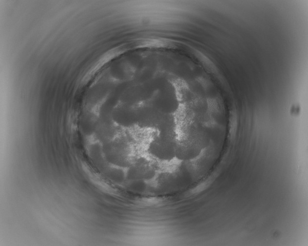 X0000113081017200909182044