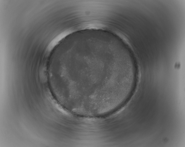 X0000113081018200909182044