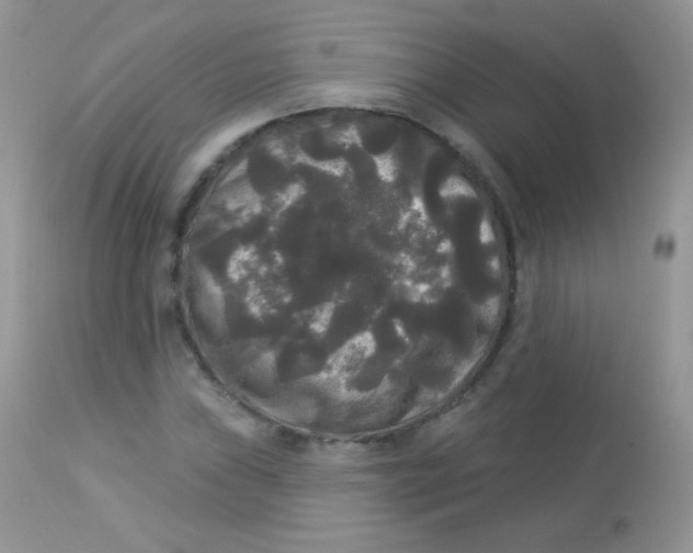 X0000113081019200909182044