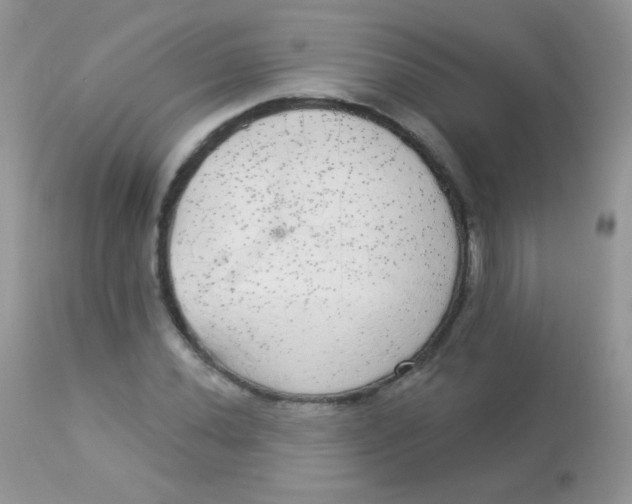 X0000113081020200909182044