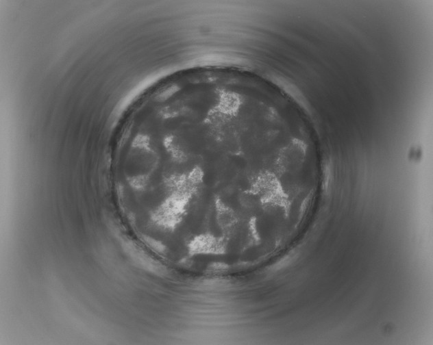 X0000113081021200909182044