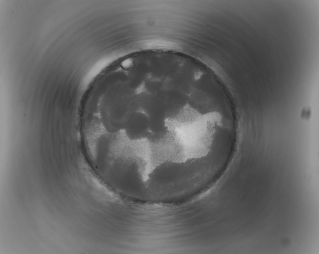 X0000113081022200909182044