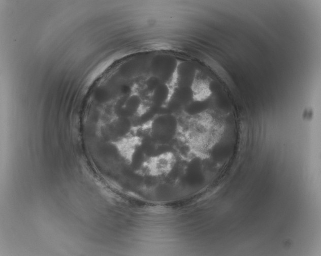 X0000113081023200909182044