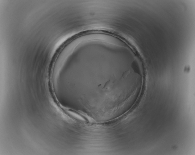 X0000113081024200909182044