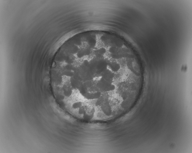 X0000113081025200909182044