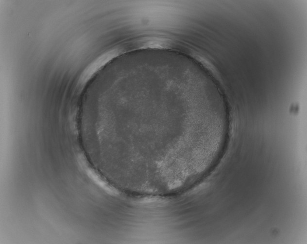 X0000113081026200909182044