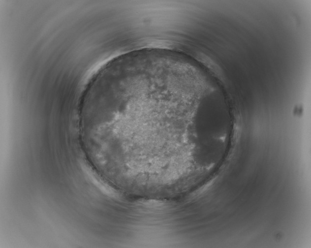 X0000113081027200909182044