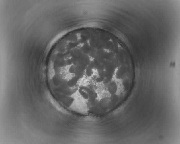 X0000113081029200909182044