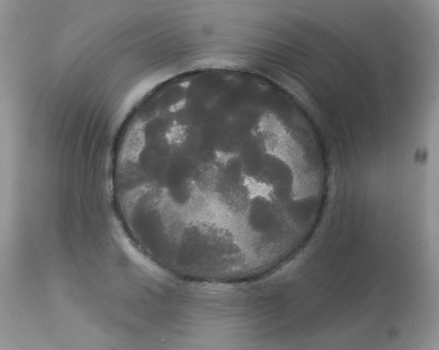 X0000113081030200909182044