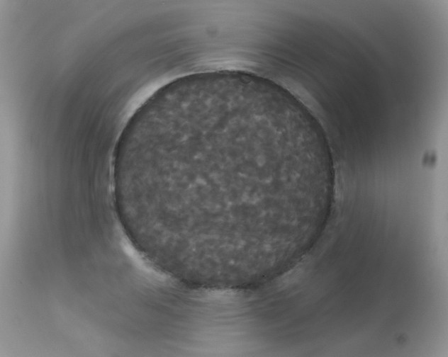 X0000113081031200909182044