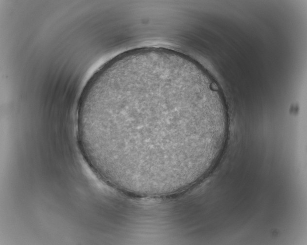 X0000113081032200909182044