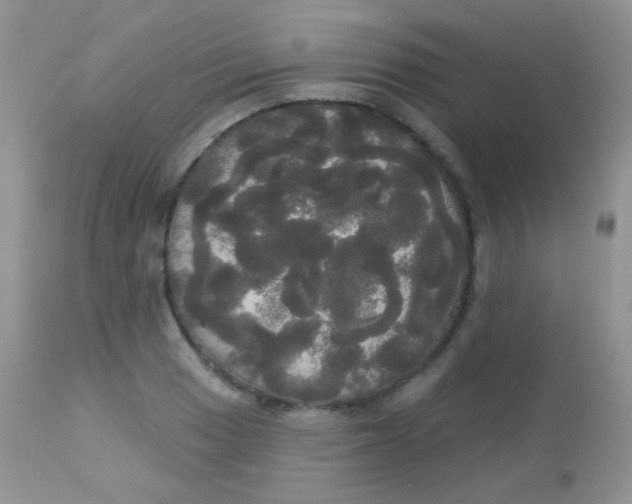 X0000113081033200909182044