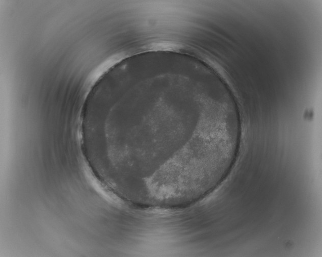 X0000113081034200909182044