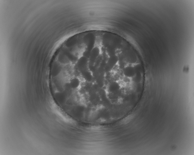 X0000113081035200909182044